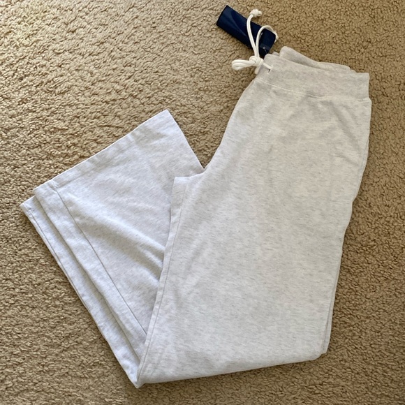 Brandy Melville Pants - Brandy melville light silver gray sasha sweatpants